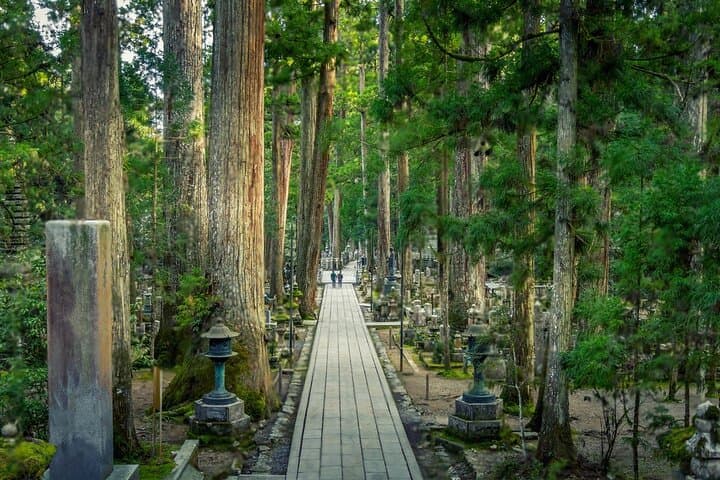 Nachi Waterfall, Mount Koya & Wakayama Tour with Two Options — photo 3