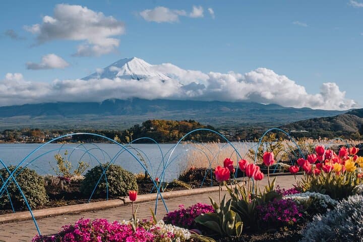 Mount Fuji Popular Sightseeing Tour — photo 4