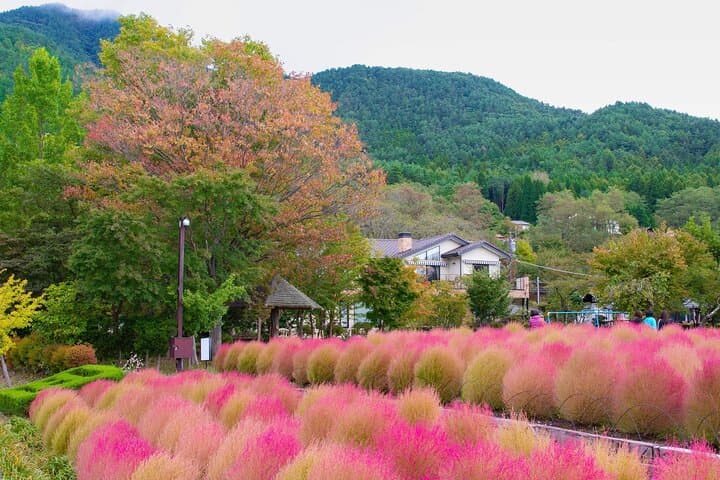 Mount Fuji Popular Sightseeing Tour — photo 5