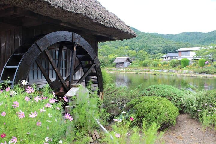 Mount Fuji Popular Sightseeing Tour — photo 8