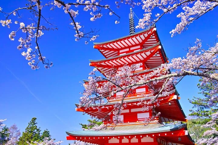 Mount Fuji Popular Sightseeing Tour — photo 10