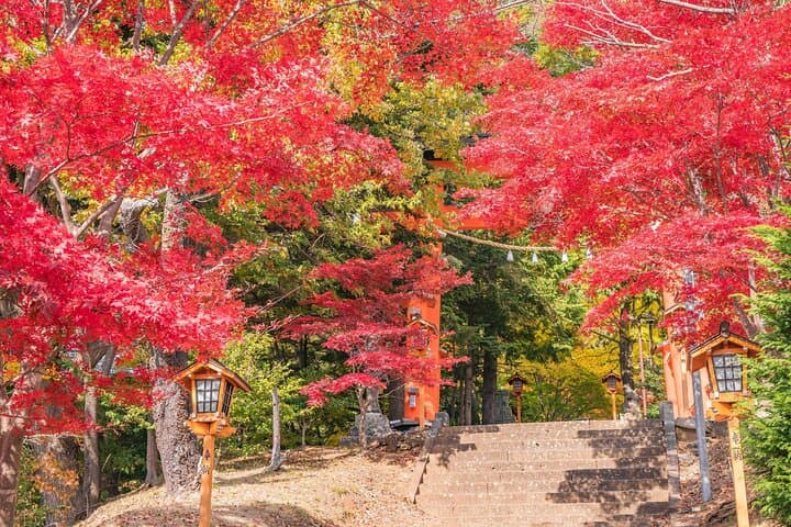 Mount Fuji Popular Sightseeing Tour — photo 12