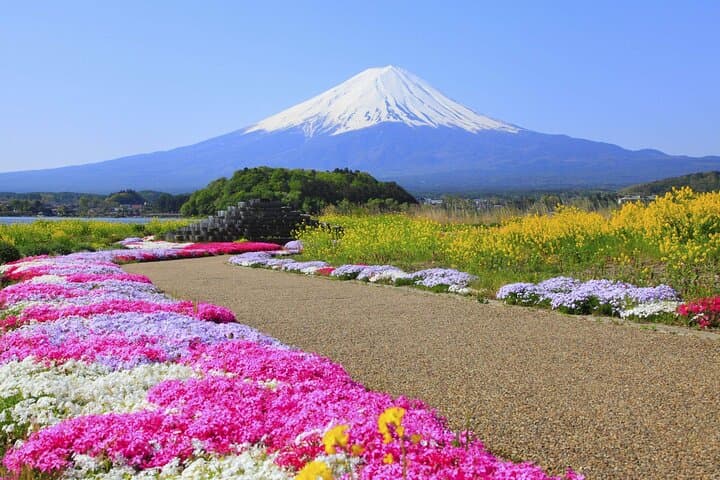 Mount Fuji Popular Sightseeing Tour — photo 14