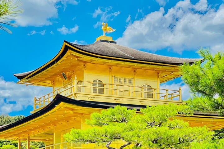 Kyoto Adventures Private English Tour With Hotel Pick Up — photo 16