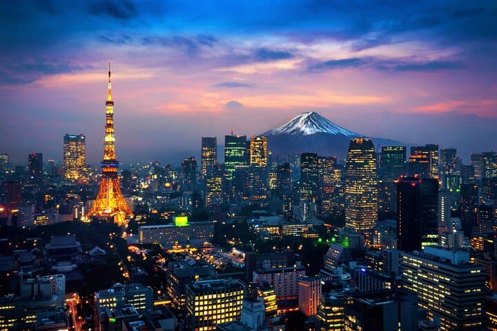 Tokyo Private Tour by Car with English-Speaking Driver (Premium) — photo 12