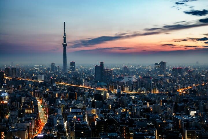 Tokyo Private Tour by Car with English-Speaking Driver (Premium) — photo 10