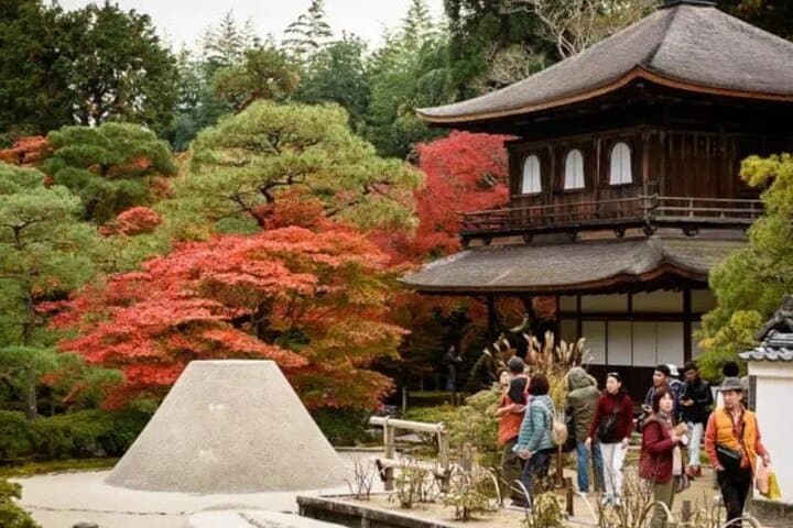 Kyoto Private Tour from Osaka– Local Japanese Experienced Guide — photo 11