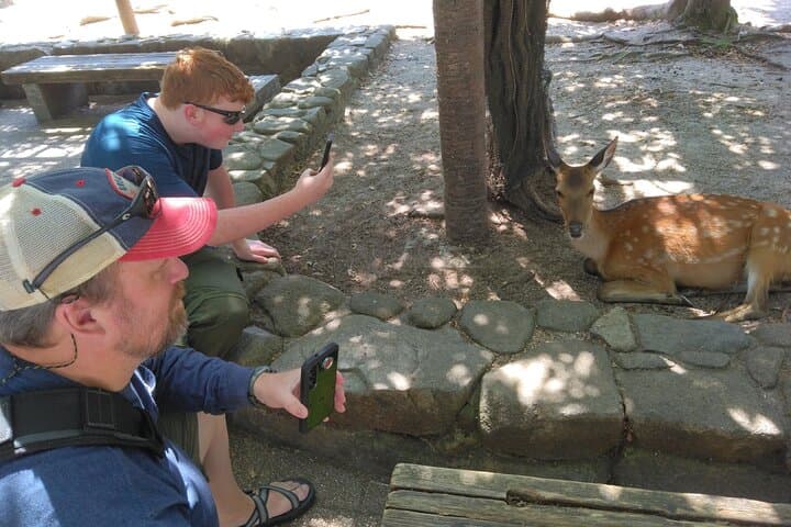 Hiroshima Cruise Pickup : Miyajima & Peace Park Tour with car — photo 19