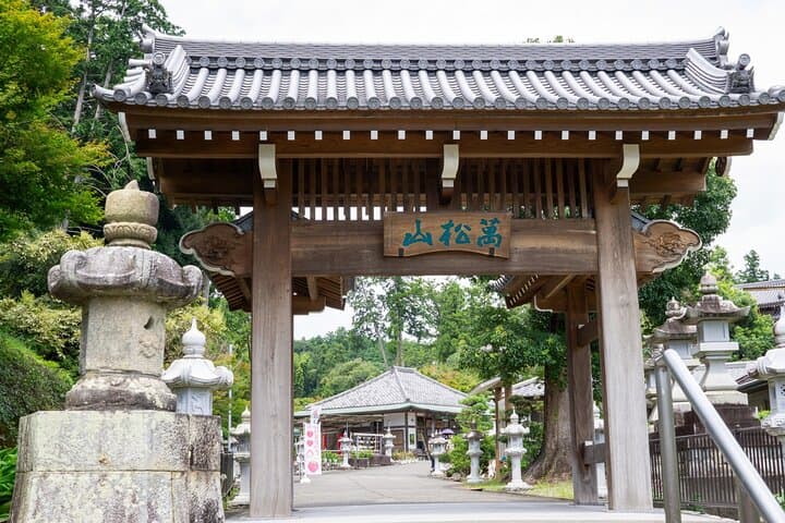 Private Car Tour from Shimizu Port to Visit Kakegawa Tea Culture — photo 13