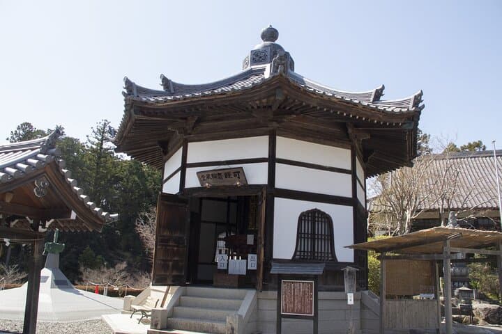 Private Car Tour from Shimizu Port to Visit Kakegawa Tea Culture — photo 14