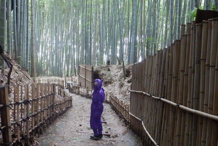 Ninja Explores Old Samurai Residences in Sakura — photo 11