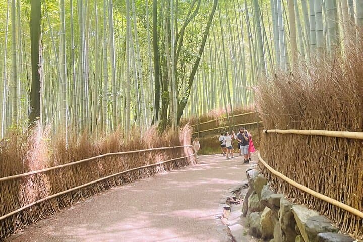 Kyoto & Nara: Private Day Tour by luxury Vehicle & English Guide — photo 5