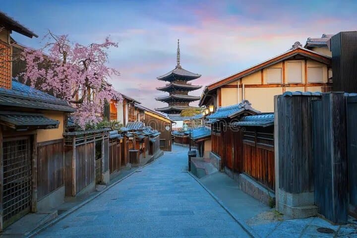 Kyoto & Nara: Private Day Tour by luxury Vehicle & English Guide — photo 8