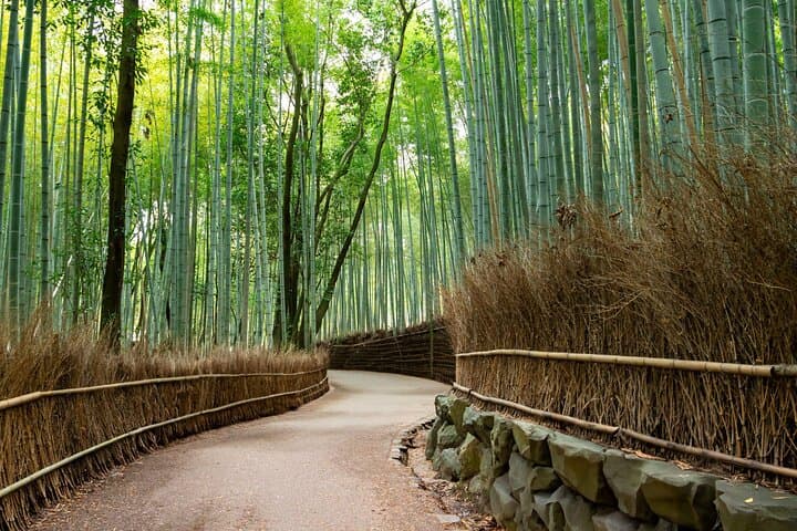 Kyoto Arashiyama, Nara Park, and Fushimi Shrine Tour — photo 2
