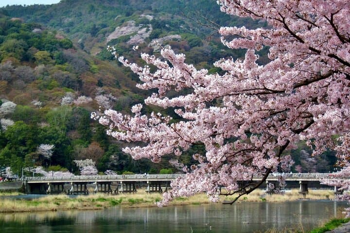 Kyoto Arashiyama, Nara Park, and Fushimi Shrine Tour — photo 4