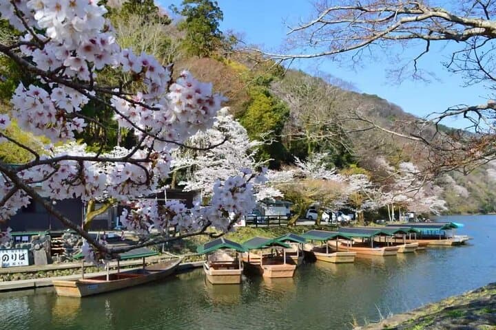 Kyoto Arashiyama, Nara Park, and Fushimi Shrine Tour — photo 5