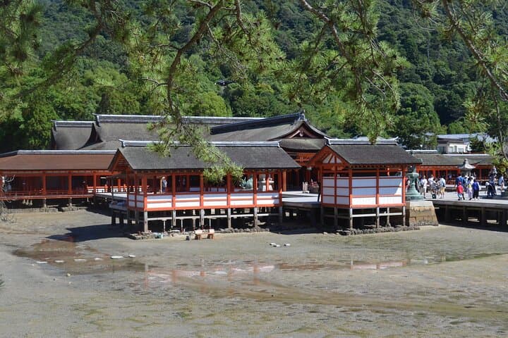 Discover Miyajima Local Eats and Sacred Sites in 2 Hours — photo 2