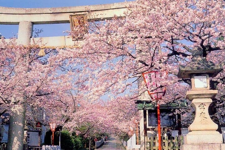 10 Days Japan Family Private Tour — photo 3