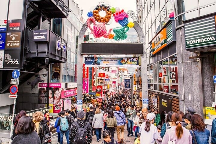 10 Days Japan Family Private Tour — photo 4