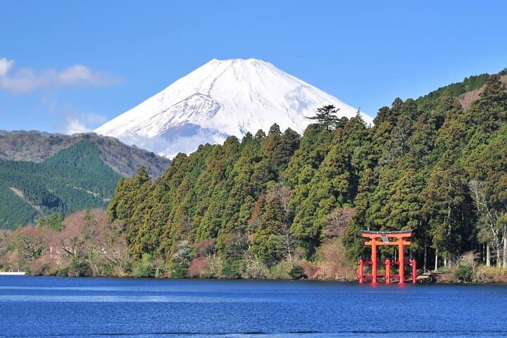 10 Days Japan Family Private Tour — photo 10
