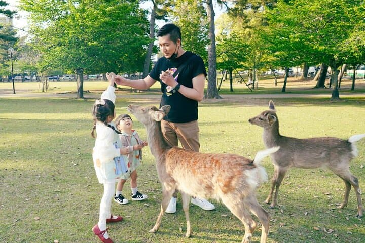 10 Days Japan Family Private Tour — photo 12