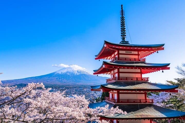 10 Days Japan Family Private Tour — photo 6