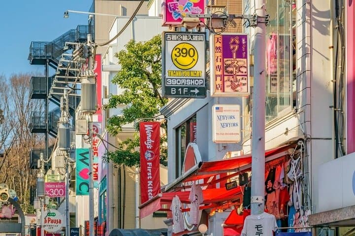 Tokyo Private Full-Day Tour by Car or Van — photo 12