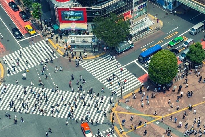 Tokyo Private Full-Day Tour by Car or Van — photo 13