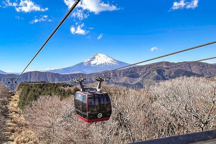 Japan Mini Group Tour from Tokyo — photo 11