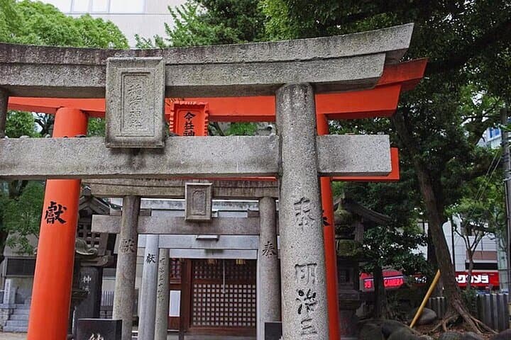 Kobe and Himeji One Day Private Tour From Osaka And Kyoto — photo 2
