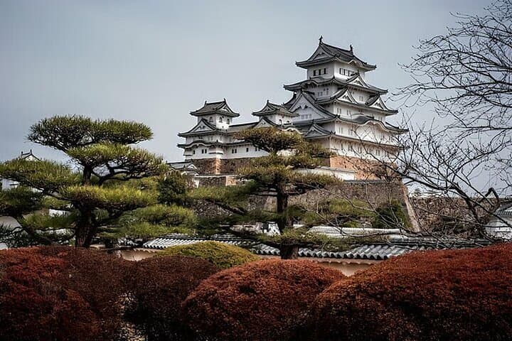 Kobe and Himeji One Day Private Tour From Osaka And Kyoto — photo 5