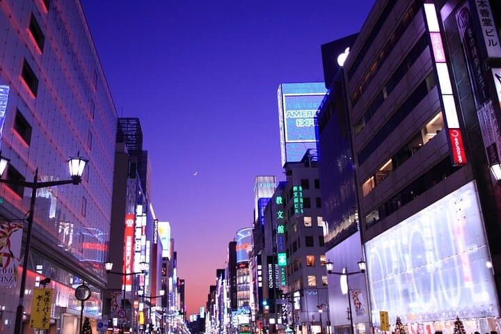 Private Tokyo Night Tour with English-Speaking Driver from Tokyo — photo 13
