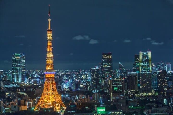 Tokyo Private Sightseeing Tour with English Speaking Driver — photo 4