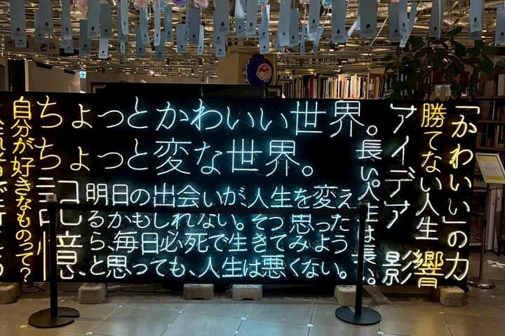 Private Tokyo, Fully Customized — Your Day, Your Pace — photo 19