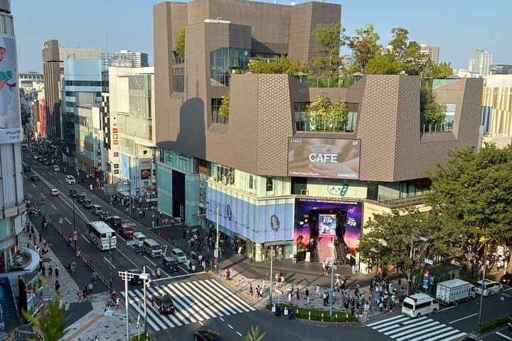 Private Tokyo, Fully Customized — Your Day, Your Pace — photo 20