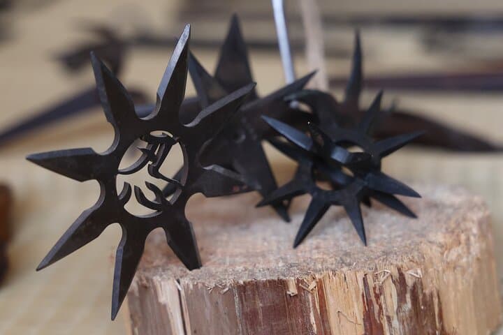 Unlock the Secrets of Ninja : A Private Tour into Samurai Spirit — photo 16