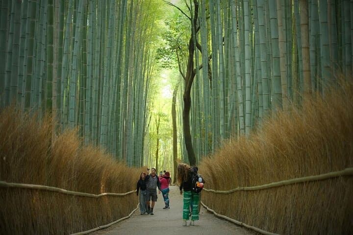 Kyoto Private Day Tour with English-Speaking Driver from Kyoto — photo 5
