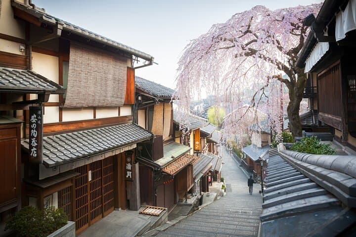 Kyoto Private Day Tour with English-Speaking Driver from Kyoto — photo 17