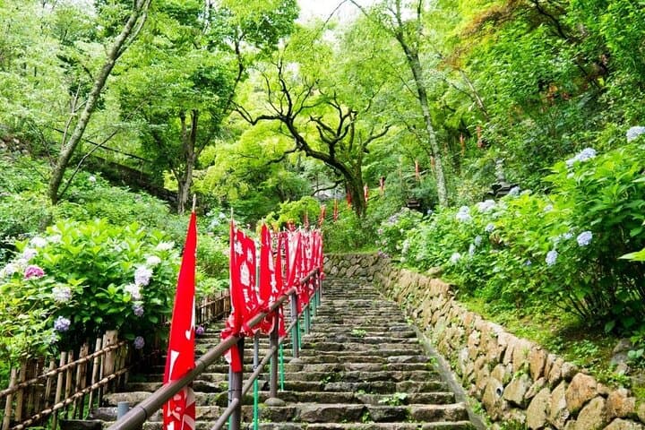 Kamakura and Enoshima Private Tour with English Speaking Driver — photo 4