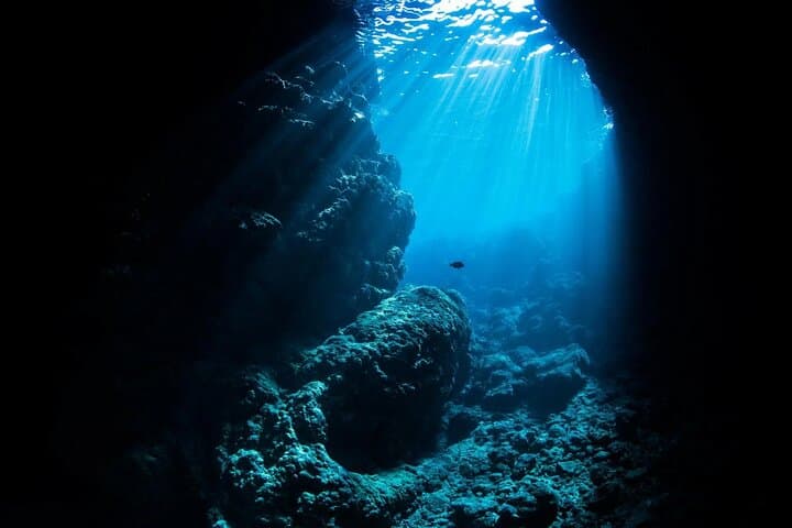 [Half day] Charter diving experience at Ishigaki Island - Novices welcome!!～ — photo 11