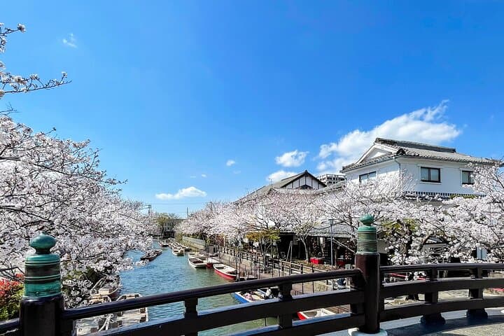 Yanagawa Private River Cruise with Local Boatman — photo 2