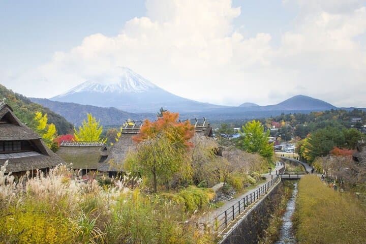 Mt. Fuji Hidden Gems & Aokigahara Forest Private Tour — photo 4