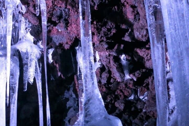 Mt. Fuji Hidden Gems & Aokigahara Forest Private Tour — photo 9