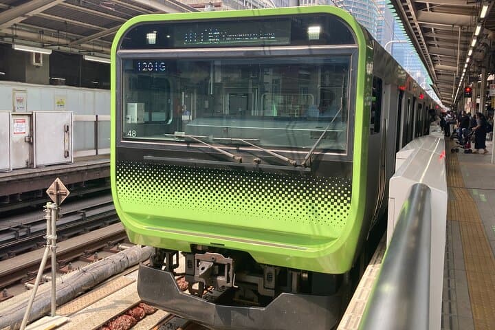 Tokyo Station Historical Walking Tour with Food and Anime — photo 7