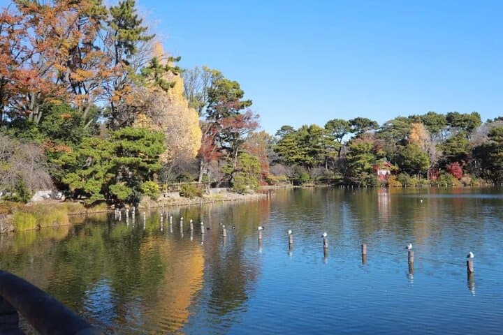 Let's take a walk in the park together!!! — photo 2