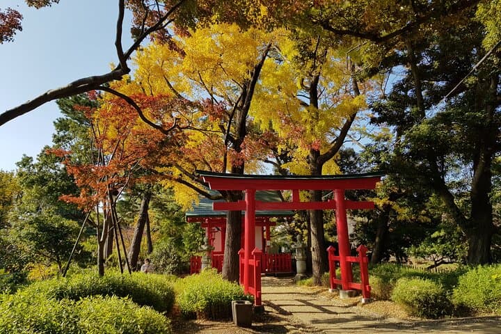 Let's take a walk in the park together!!! — photo 3