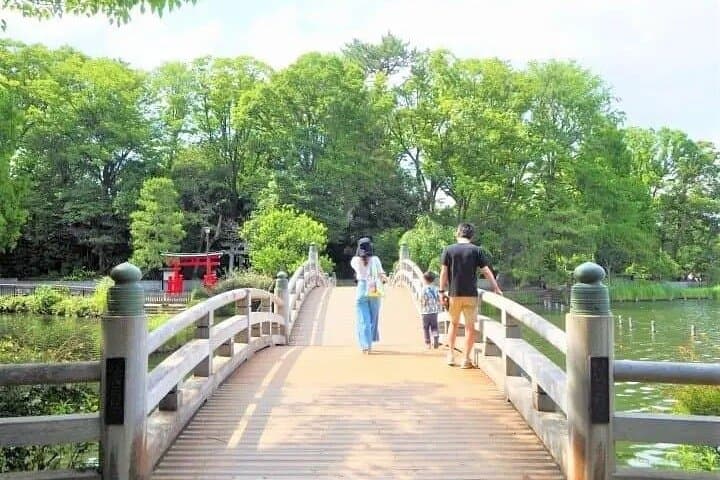 Let's take a walk in the park together!!! — photo 5