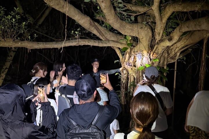 Miyakojima:Night tour ｜Pick-up OK｜Jungle night tour & Starry sky — photo 7