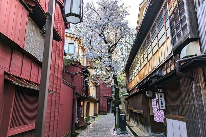 Day Tour from Kanazawa: Gold Leaf, Japanese Sweets and Ninja Star — photo 7