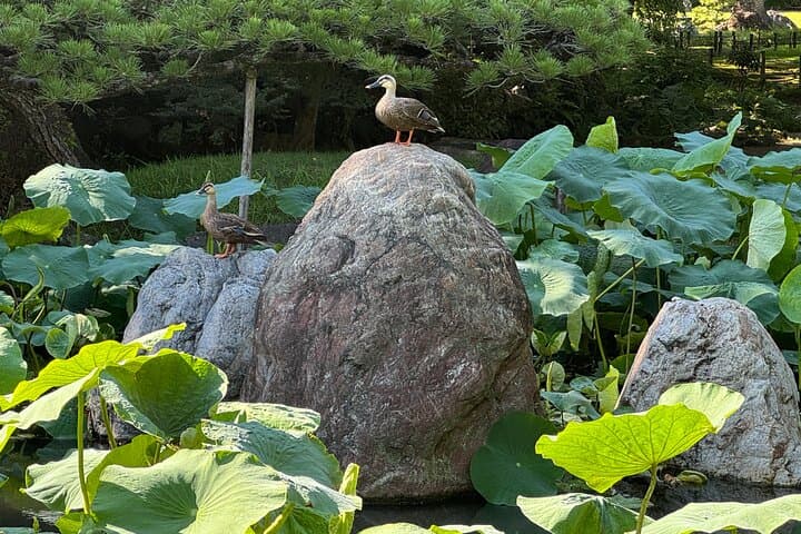 Osaka Oldest Temple, Shitennoji Private Guided Tour — photo 13
